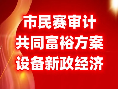 市民审计与调配生产